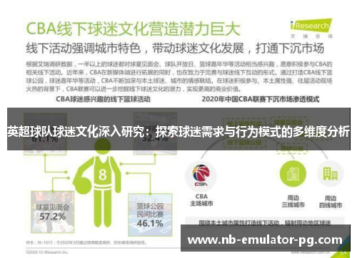 英超球队球迷文化深入研究：探索球迷需求与行为模式的多维度分析