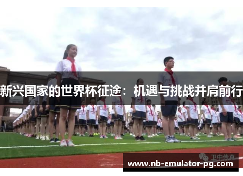 新兴国家的世界杯征途：机遇与挑战并肩前行