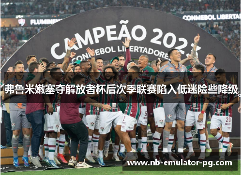 弗鲁米嫩塞夺解放者杯后次季联赛陷入低迷险些降级